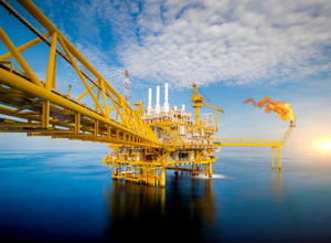 RoughNek™ Heavy Duty Push Pull Tool/Stick/Pole